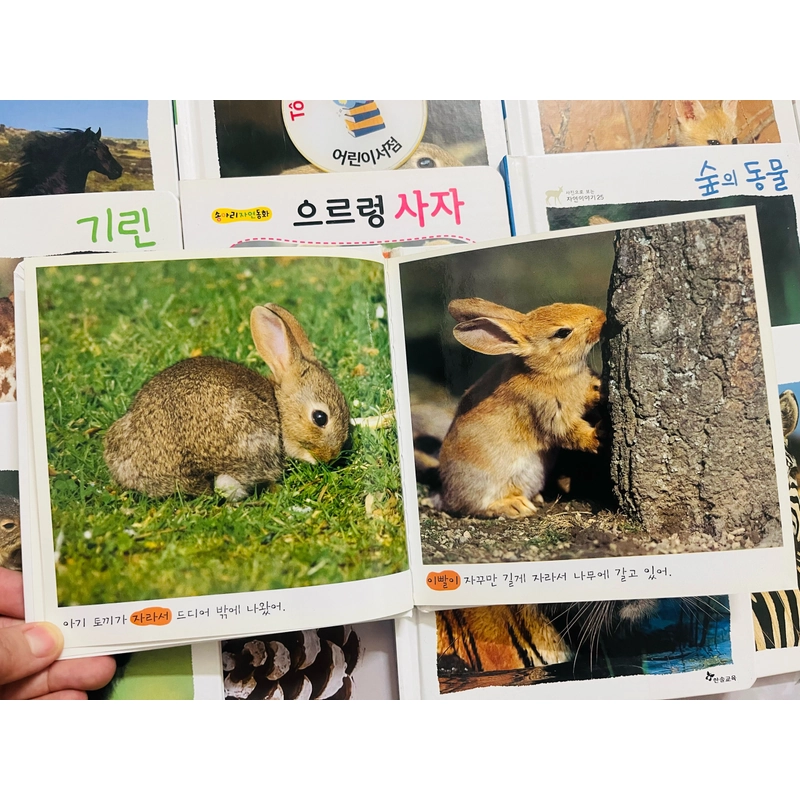 𝐒𝐚́𝐜𝐡 𝐚̉𝐧𝐡 𝐯𝐞̂̀ 𝐭𝐮̛̣ 𝐧𝐡𝐢𝐞̂𝐧 tiếng Hàn 사진으로 보이는 자연 이야기  496926