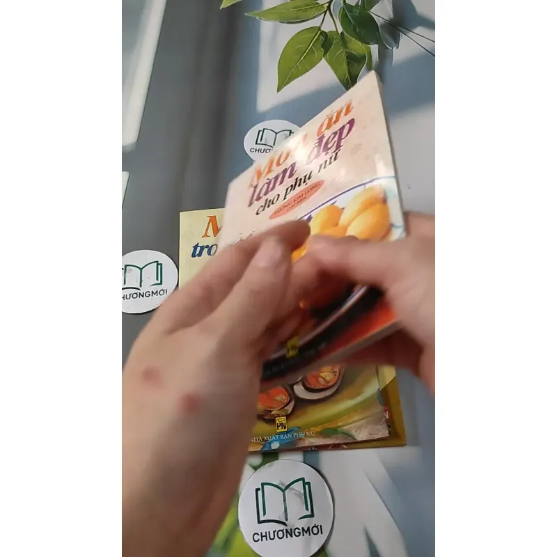 Combo Ẩm Thực: Món Ăn Làm Đẹp, Món Ăn Gia Đình Hiện Đại, Bún - Mì - Cháo - Lẩu 727286