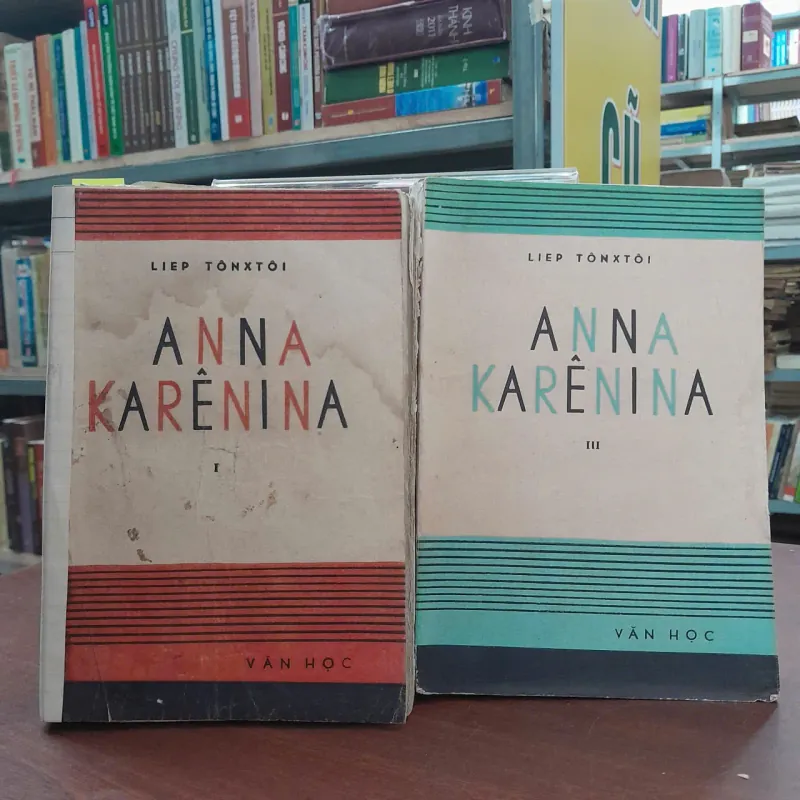 ANNA KARÊNINA - DƯƠNG TƯỜNG 763761