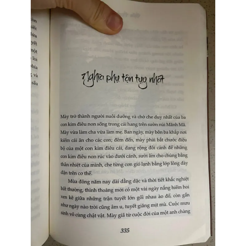 CHIM ƯNG TAO NGỘ  592088