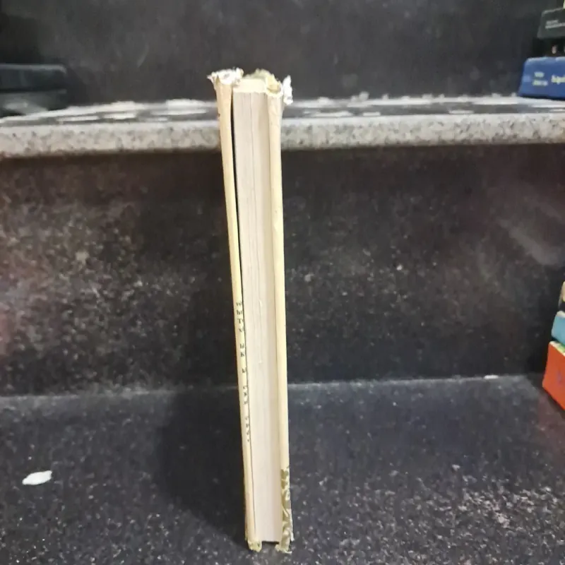 Giamilia - Truyện núi đồi và thảo nguyên 1009276