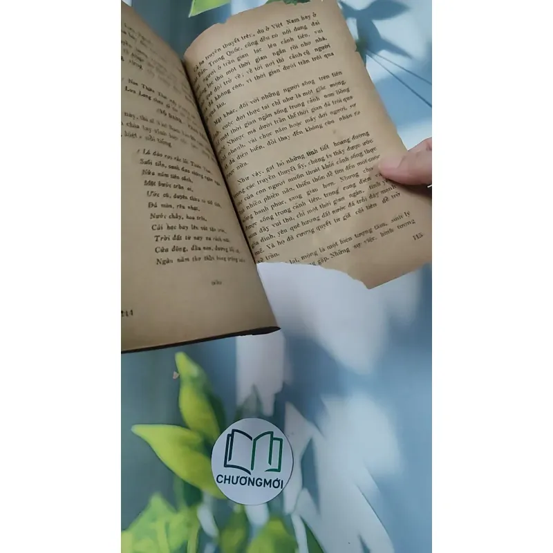 [XƯA] Mộng Du - Huyền Thoại & Hiện Thực (1988) - Phạm Hổ 776011