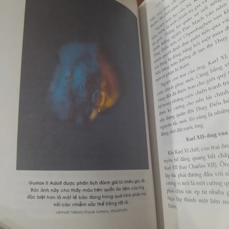 HANS INGVAR JOHNSSON - Bức tranh toàn cảnh THỤY ĐIỂN 1004954