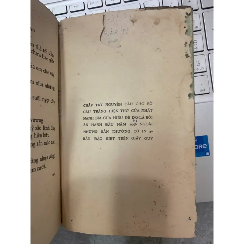 CHẮP TAY NGUYỆN CẦU CHO BỒ CÂU TRẮNG HIỆN - NHẤT HẠNH 601812