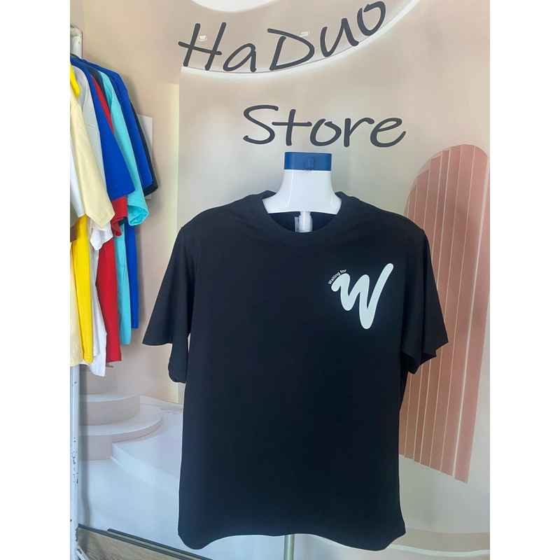 Áo Thun Oversize-Local Brand-Form rộng-full màu-new-In+Trơn 461100
