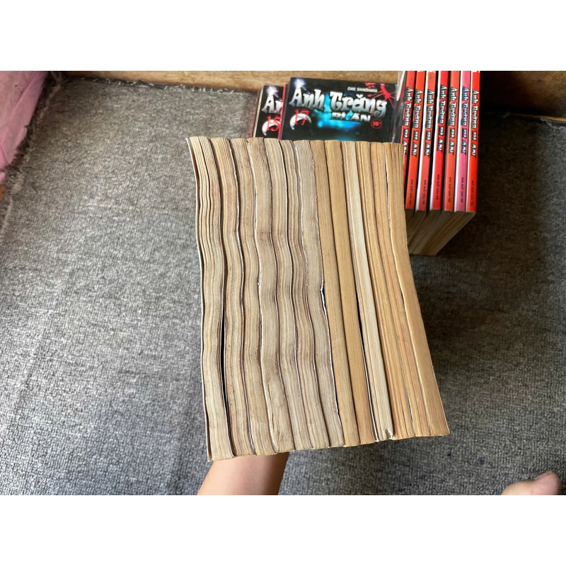 Truyện Ánh Trăng Bí Ẩn - Trọn bộ 24 Tập - NXB Trẻ 274465