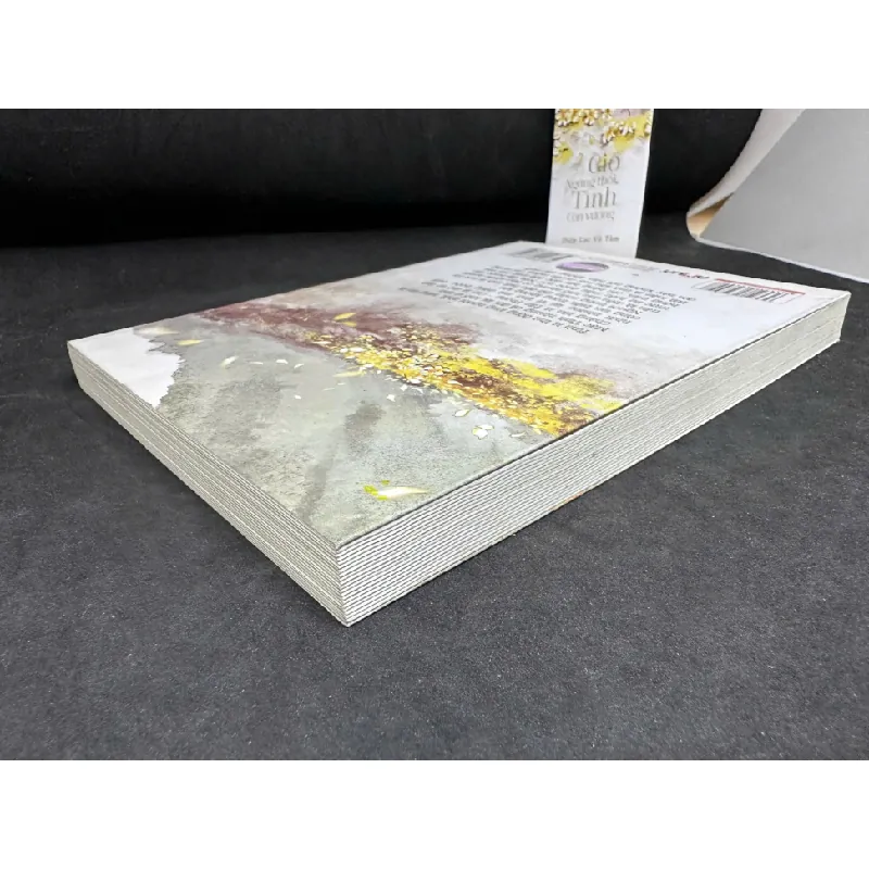 [Phiên Chợ Sách Cũ] Gió Ngừng Thổi, Tình Còn Vương, 2019 - Diệp Lạc Vô Tâm H1809 599570