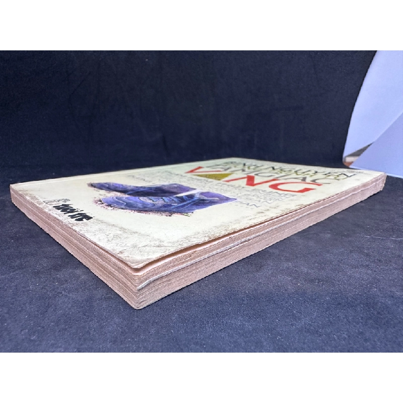 Tường trình từ tam giác vàng - Binh Nguyên, 1996, mới 80% (ố vàng) SBM0812 450617