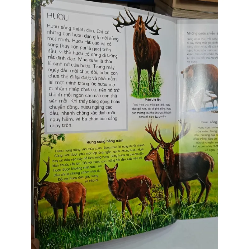 Tủ sách thế giới động vật: ĐỘNG VẬT RỪNG - Quốc Dũng (dịch) 688020