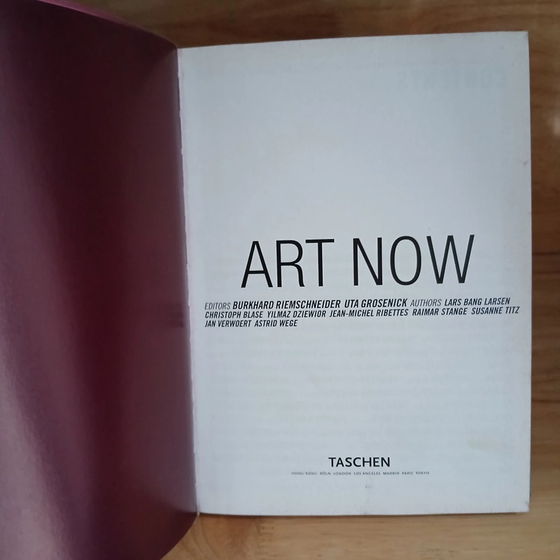 Art Now - Burkhard Riemschneider/Uta Grosenick 329403