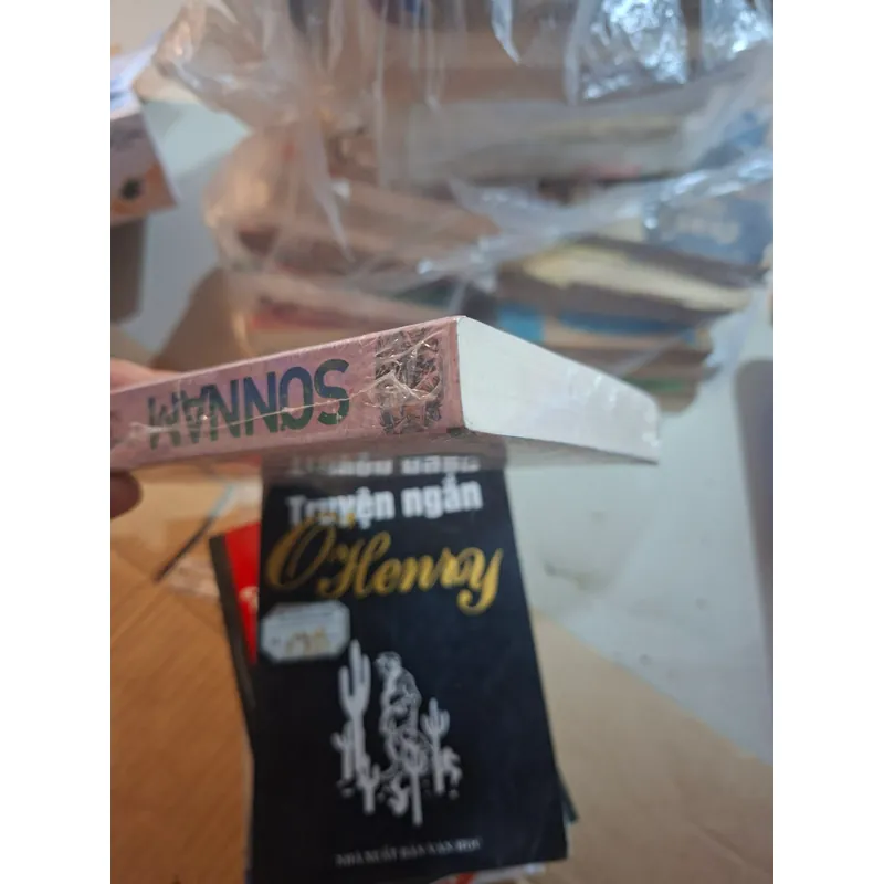 Sơn nam phong trào duy tân ở bắc trung nam .... 739263