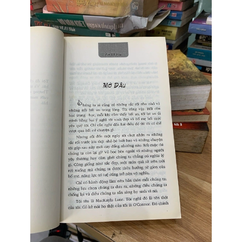 Cơn sốt máu -Karen Marie Moning 750663