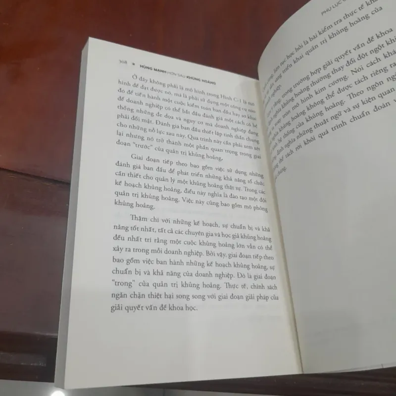 Ian I. Mitroff - HÙNG MẠNH HƠN SAU KHỦNG HOẢNG 1030774