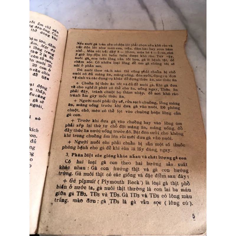 Úm gà con - Đào Đức Long 992598