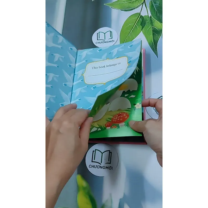 First Readers: The Ugly Duckling - Hans Christian Andersen 634455