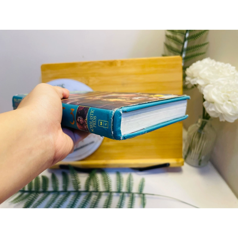 [Sách 2hand từ US] Like new 90% -  The Wright 3 – Blue Balliett 475242
