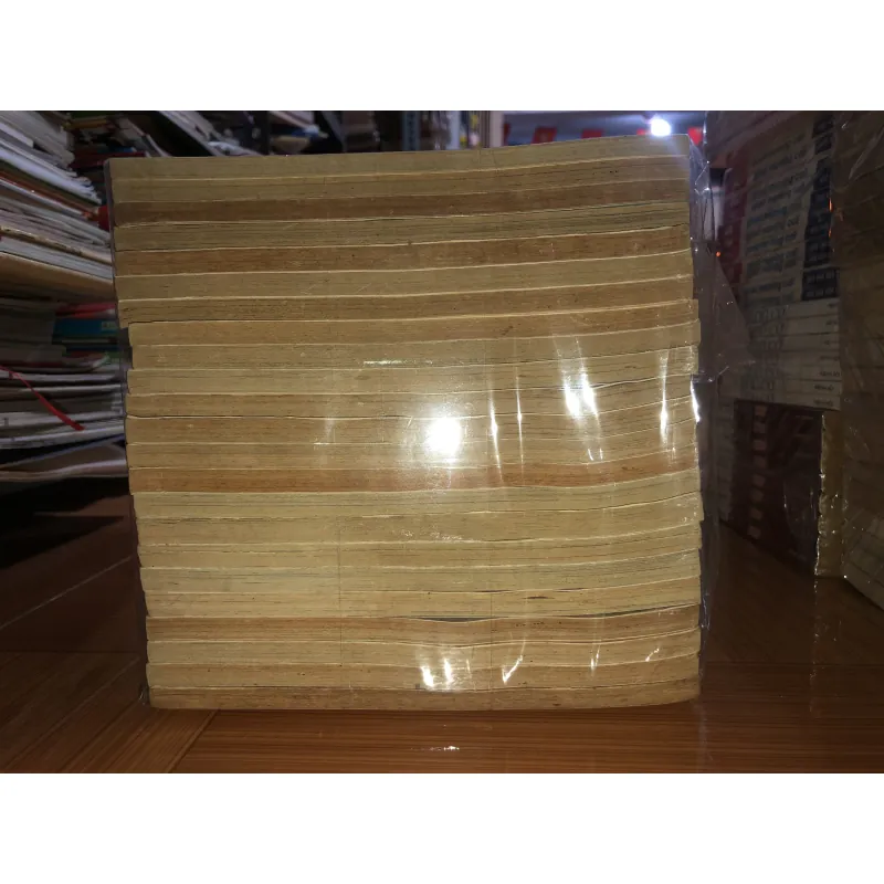 Sailor moon- Takeuchi Naoko 935304