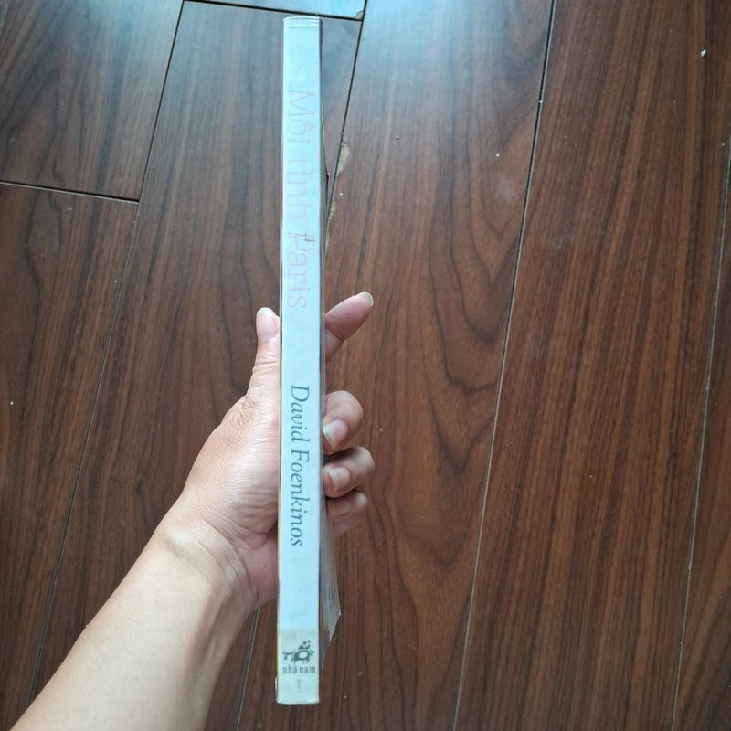 Mối tình paris 505288