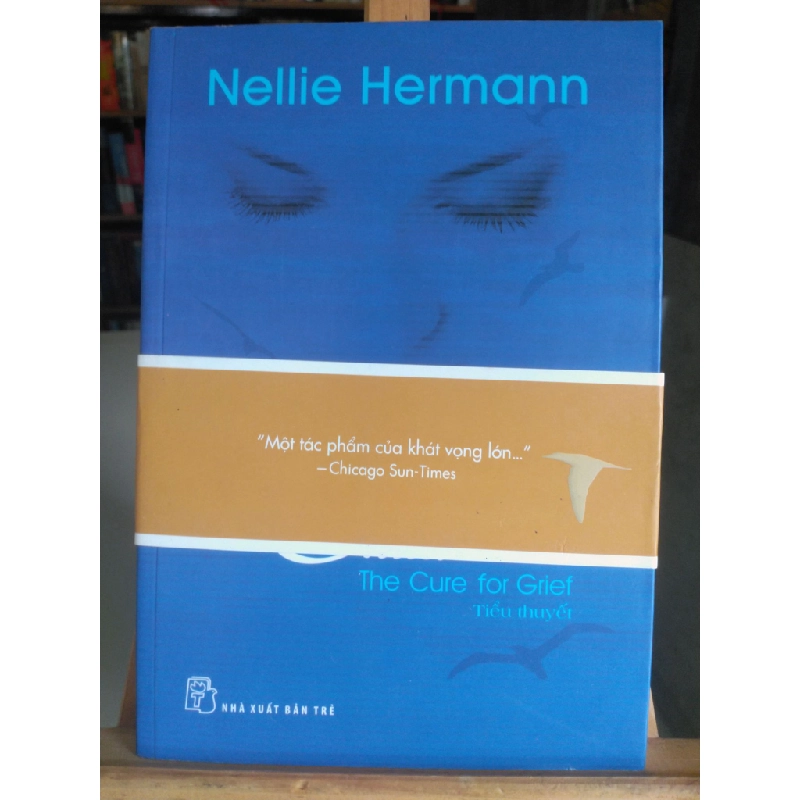 Chữa lành-Sách lưu kho mới 80%, ố nhẹ- 2012- Nellie Hermann [1301] SÁCH VĂN HỌC 370620