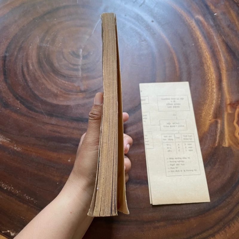 II Stress Trong Thời Đại Văn Minh - BS. Phạm Ngọc Rao & BS. Nguyễn Hữu Nghiêm - 1986 464102