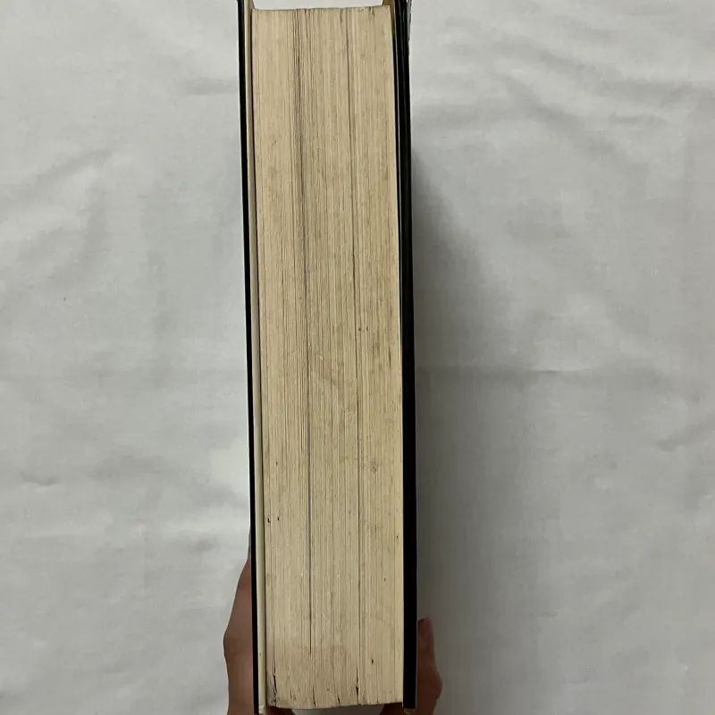 The Lives of John Lennon - Albert Goldman  932439