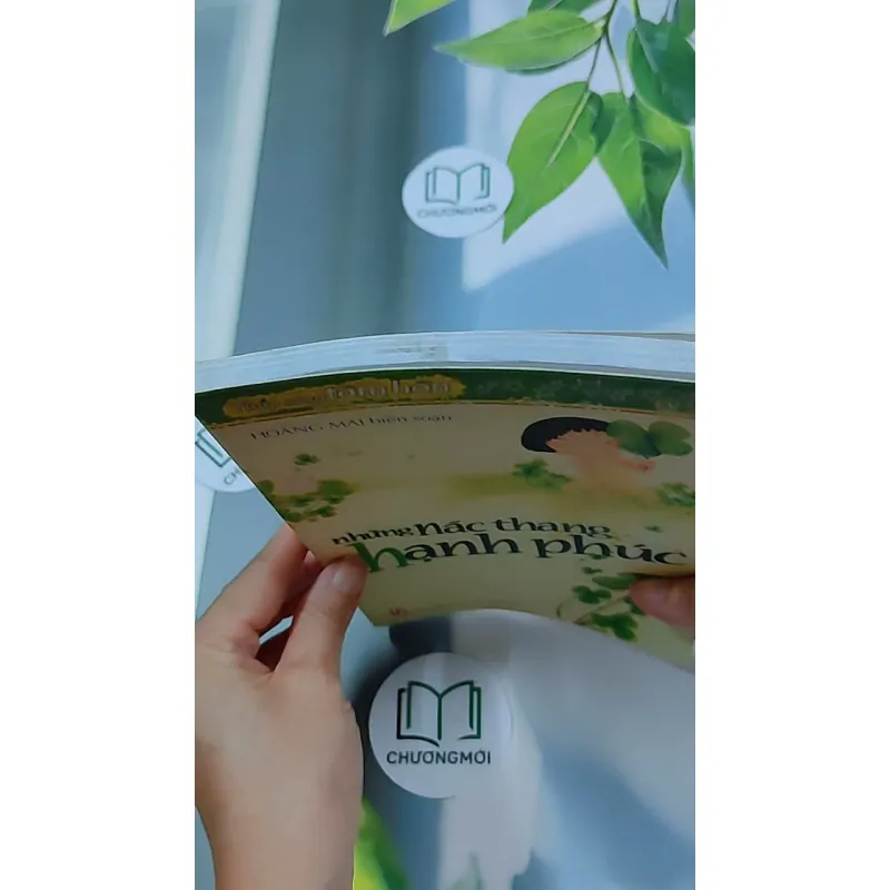 Những Nấc Thang Hạnh Phúc - Hoàng Mai 634461