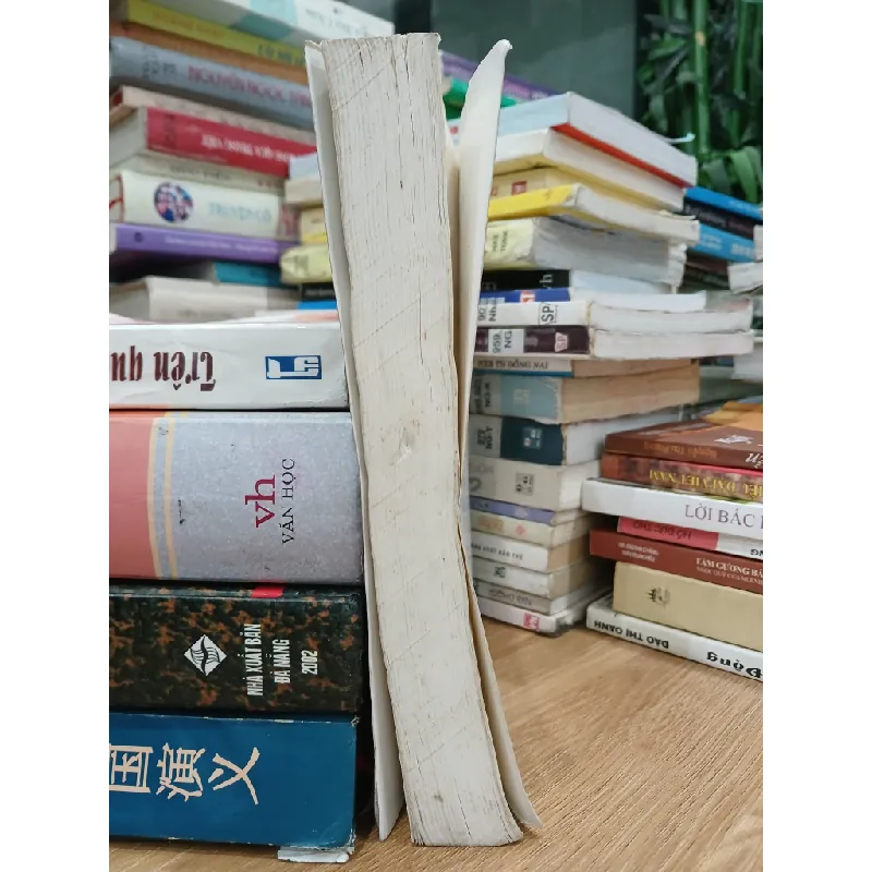 Từ điển văn hóa Indonesia – Phạm Thị Vinh (chủ biên) 589555