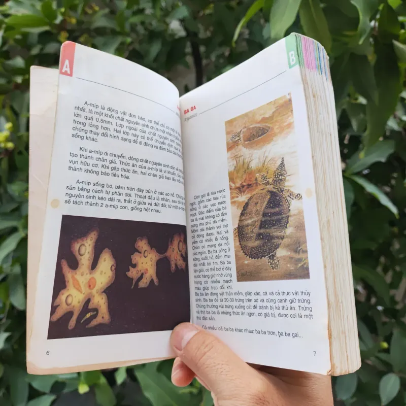 Từ Điển Tranh Về Các Con Vật - Lê Quang Long 753786