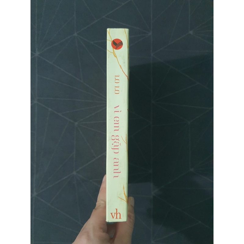 "Vì em gặp anh" - Lo Lo 492792