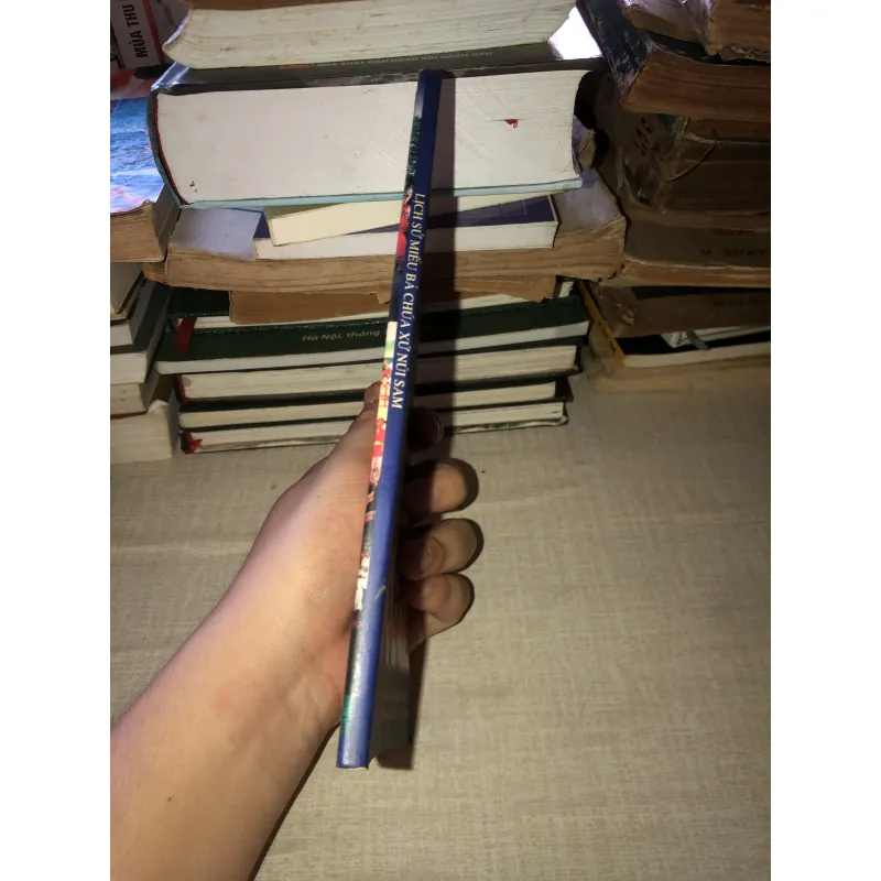 Lịch sử miếu bà chúa xứ, núi sam 972662