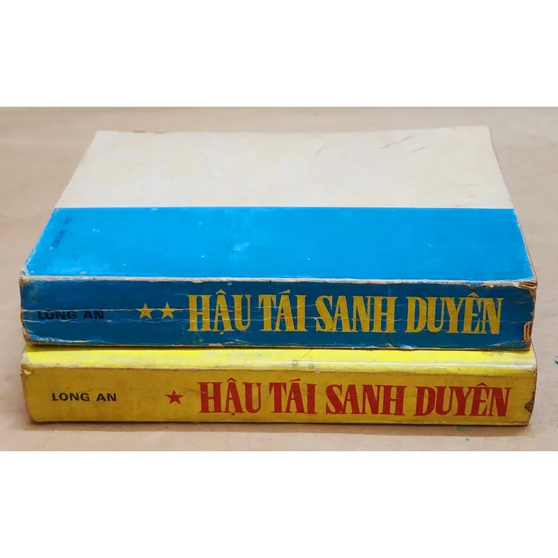 Trọn bộ 2q văn học cổ điển Trung Quốc: HẬU TÁI SANH DUYÊN (tiếp theo TÌNH SỬ MẠNH LỆ QUÂN) 729244