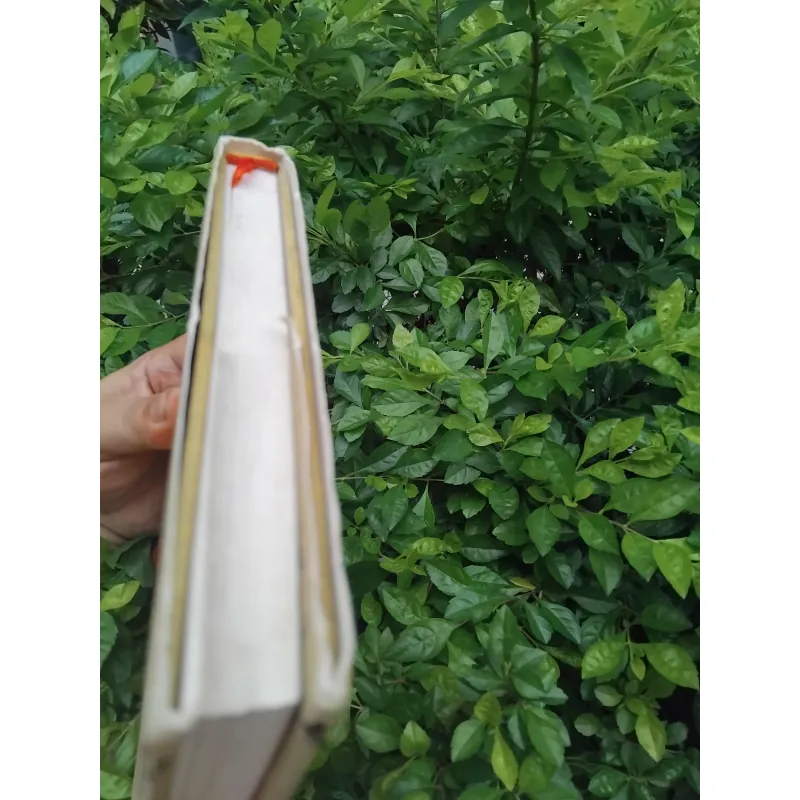 Ngôn ngữ thơ Trung Hoa của Francois Cheng  1001942