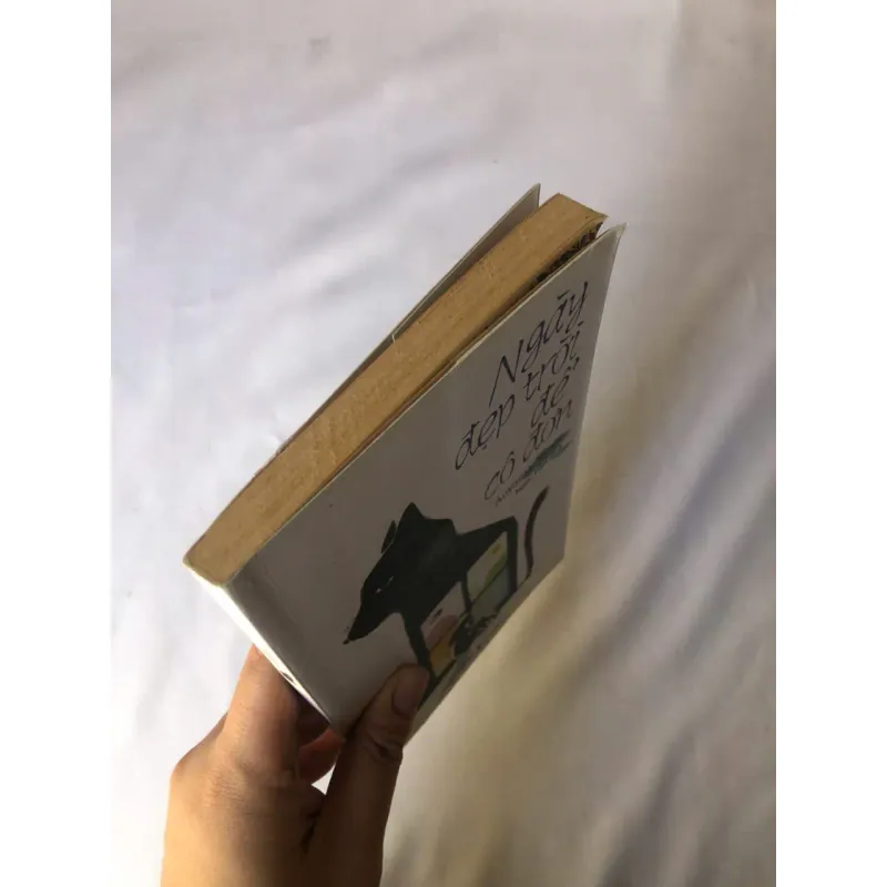 Ngày Đẹp Trời Để Cô Đơn - Aoyama Nanae 798797