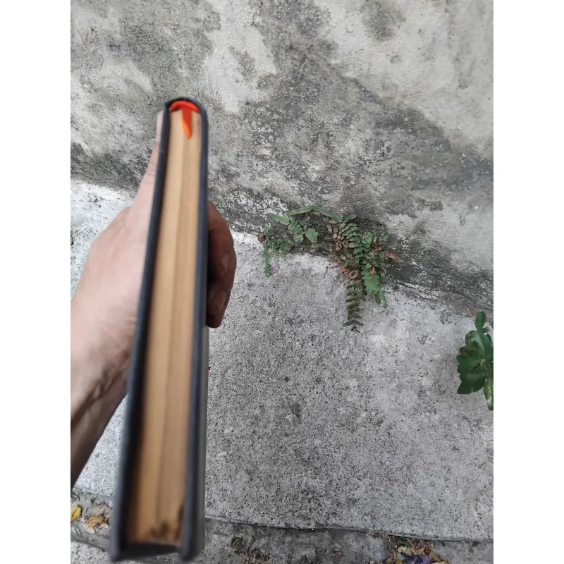 Sứ mệnh văn nghệ của Nguyễn Nam Châu 1026176