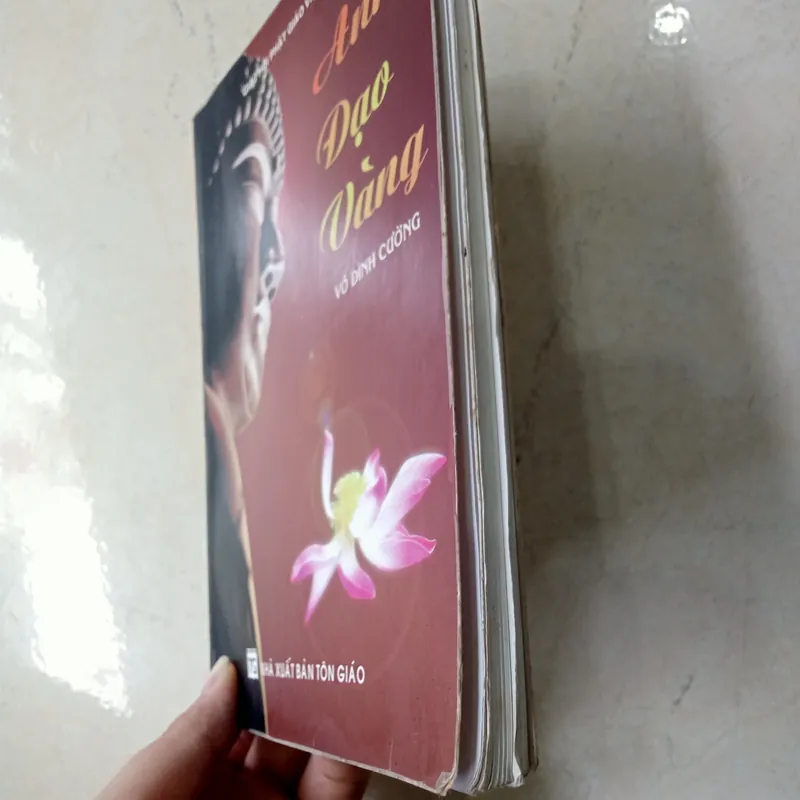 Ảnh Đạo Vàng 📚 711446