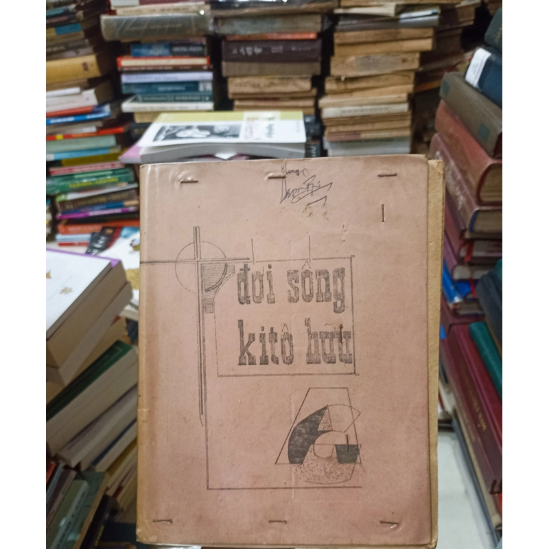 Đời sống Kitô Hữu 🌻 537312