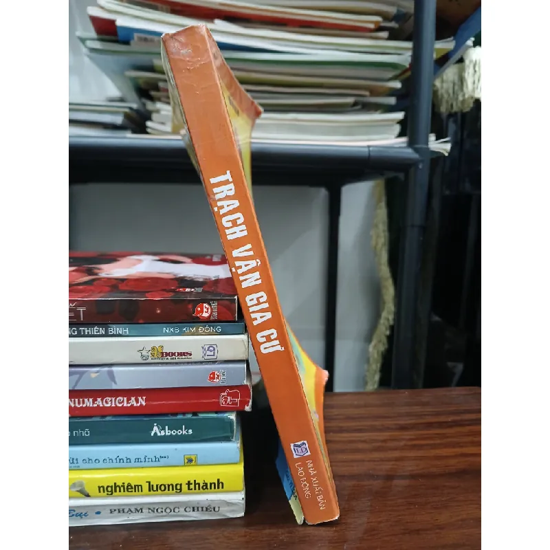 Trạch vận gia cư- Bích Ngọc 699059