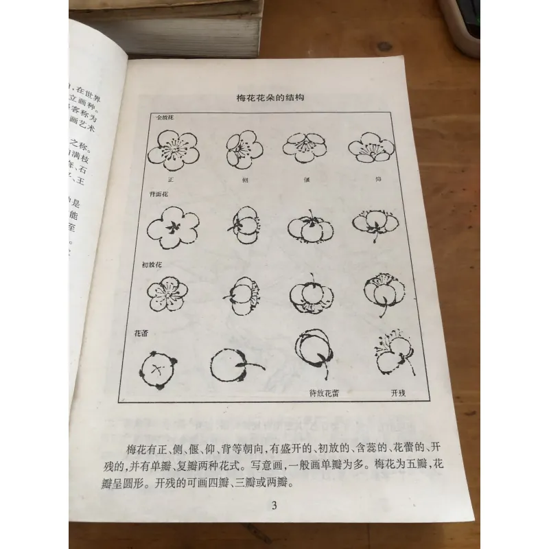 Sách tiếng Trung 1037479