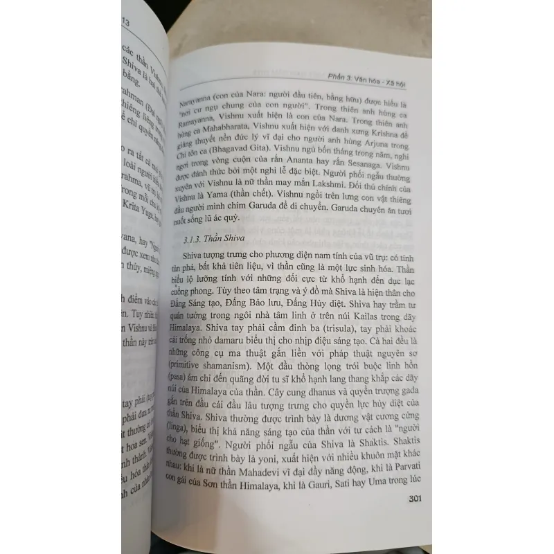 NGHIÊN CỨU ẤN ĐỘ TẠI VIỆT NAM NĂM 2013 - NGÔ XUÂN BÌNH 705406