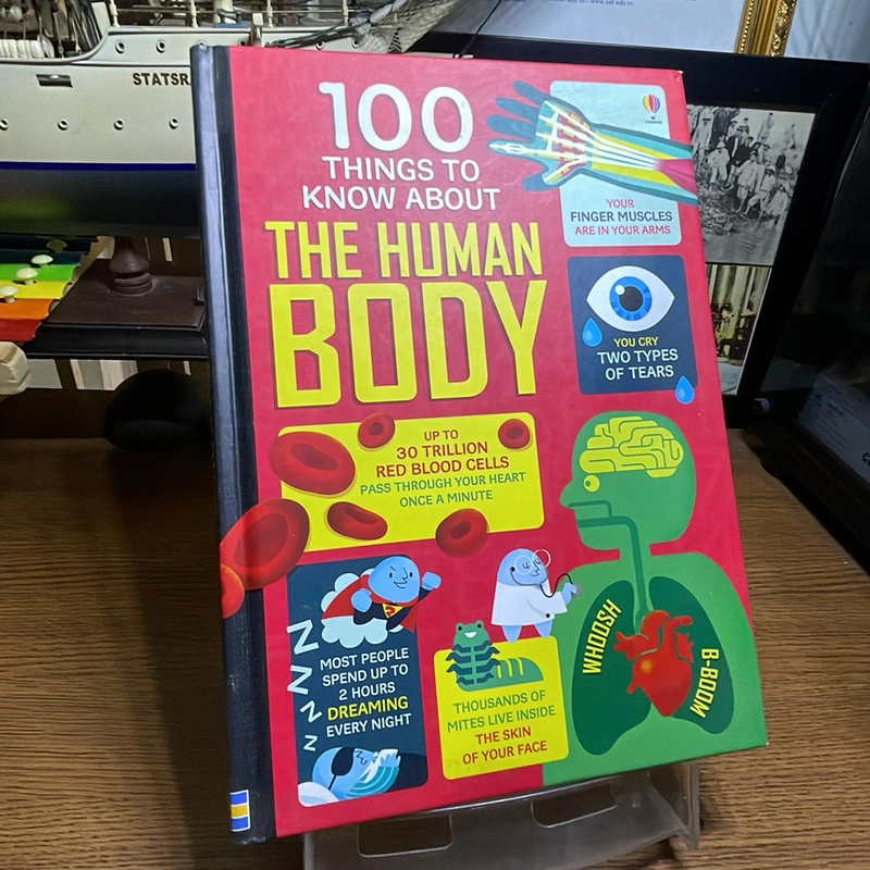 100 things to know body Usborn 452957