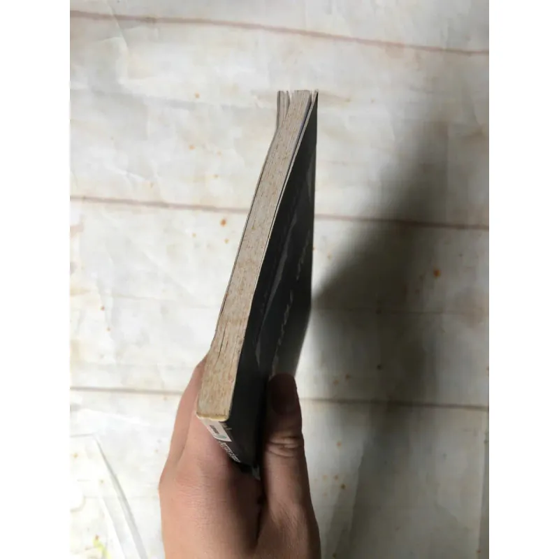 Người Đọc - Bernhard Schlink 800732