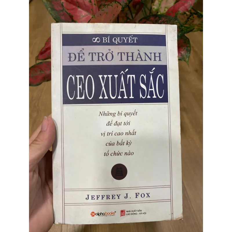 Combo Để trở thành CEO xuất sắc, Quyết đoán trong kinh doanh 717834