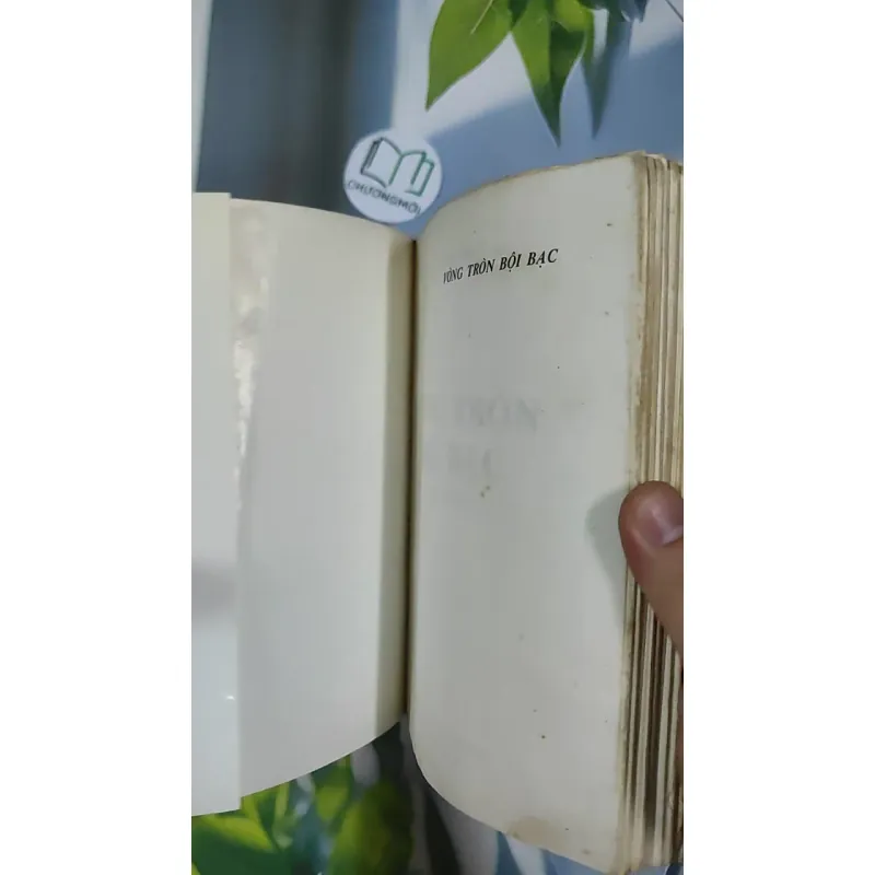 [XƯA] Vòng Tròn Bội Bạc (1999) - Chu Lai 798861