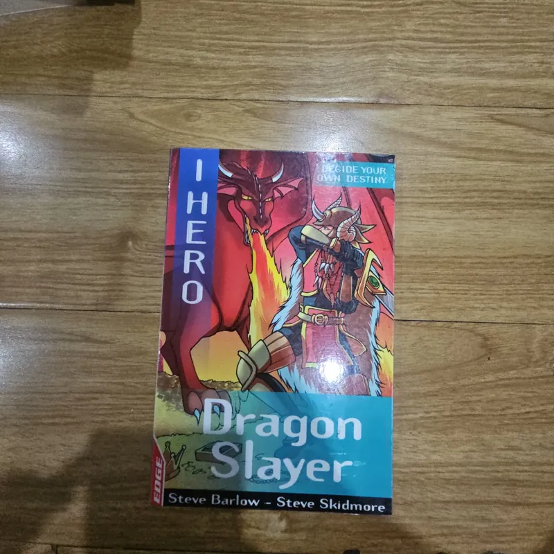 I Hero Dragon  Slayer Giá 20k  601777