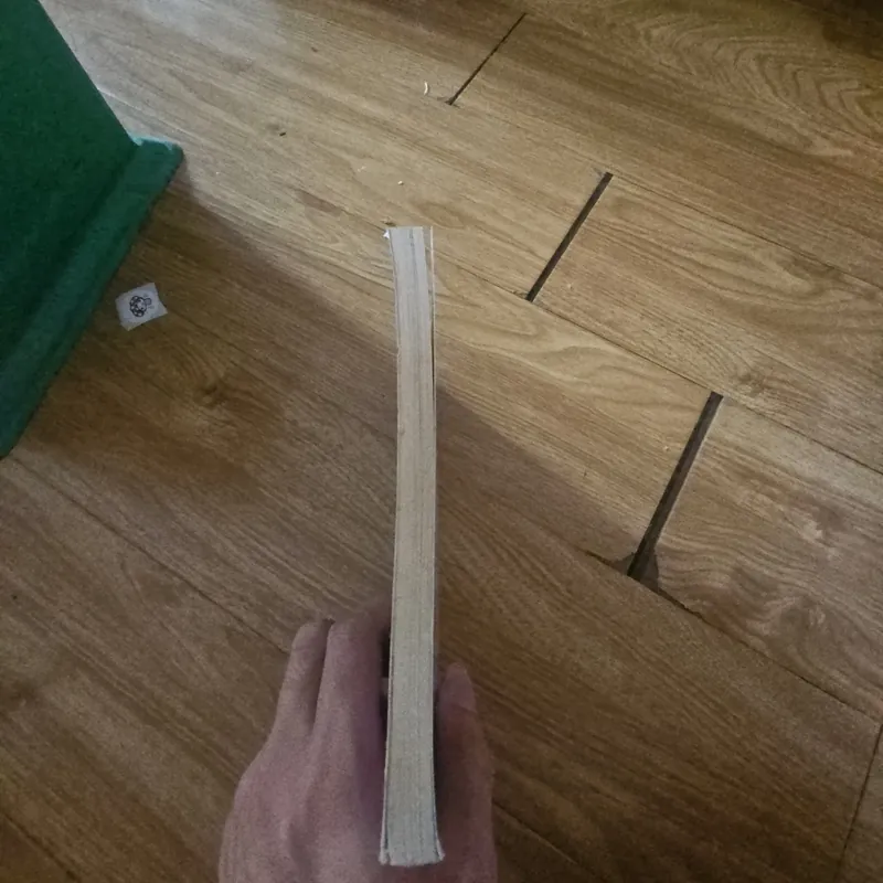 Little Owl Needs a Home Giá 20k  604027