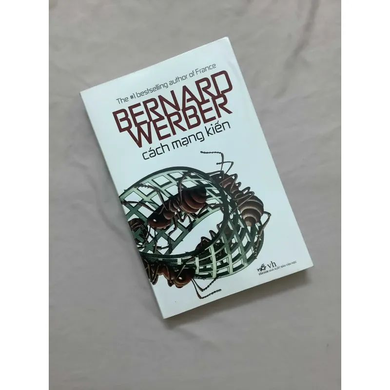 Kiến - Cách Mạng Kiến 595716