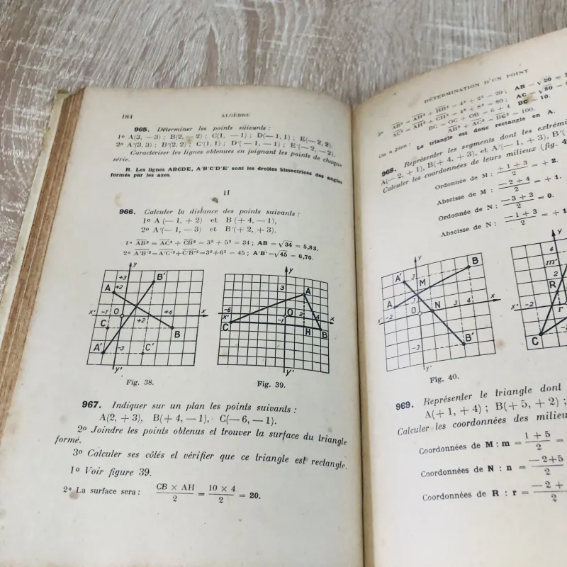 ALGÈBRE – Livre du Maître 971146