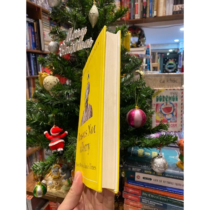 Reasons Not to Worry - Brigid Delaney 723392