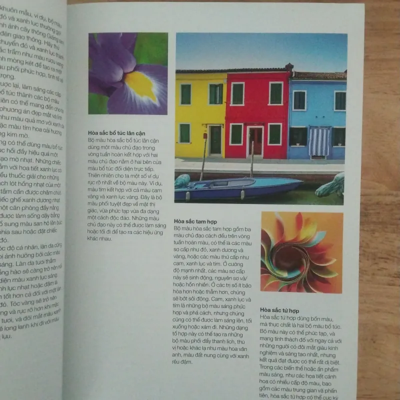 Cẩm nang phối màu pantone  1006354