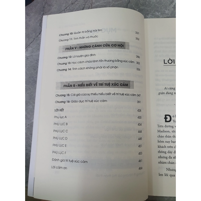 TRÍ TUỆ CẢM XÚC - DANIEL GOLEMAN 471587